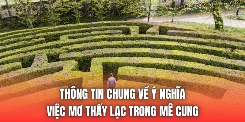 Thông tin chung về ý nghĩa việc mơ thấy lạc trong mê cung